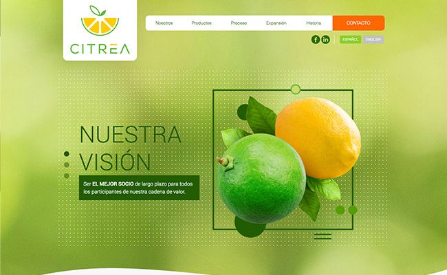 Portafolio Desarrollo Web Citrea