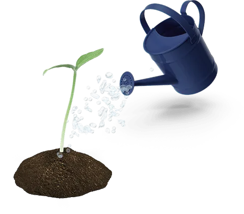 Soluciones para crecer tu negocio