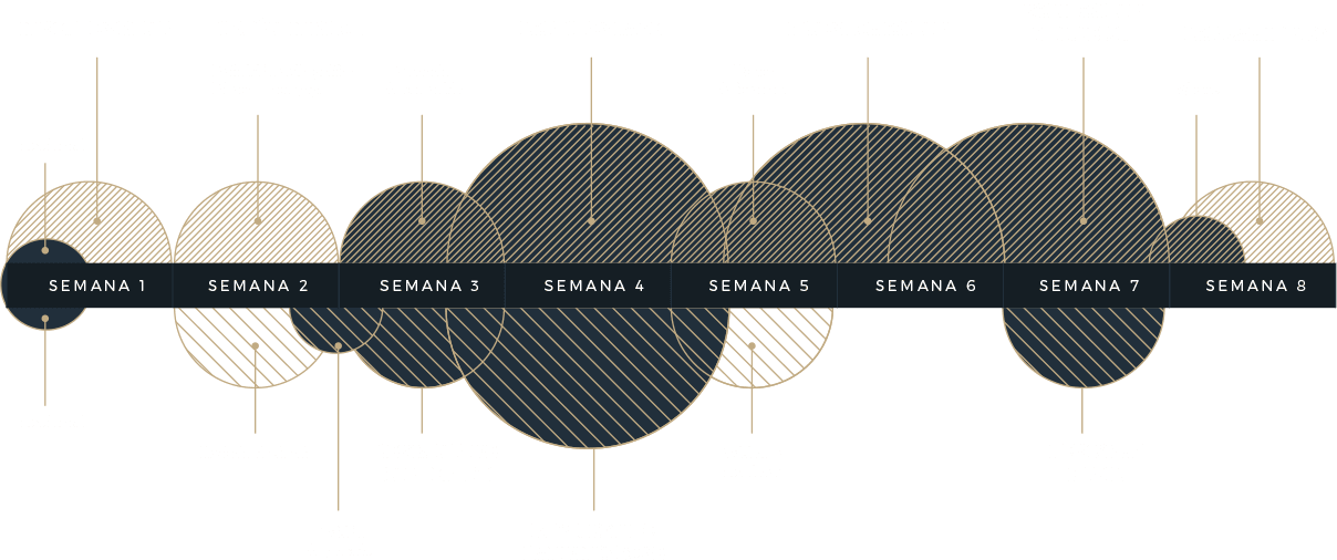 Gráfica de proceso web